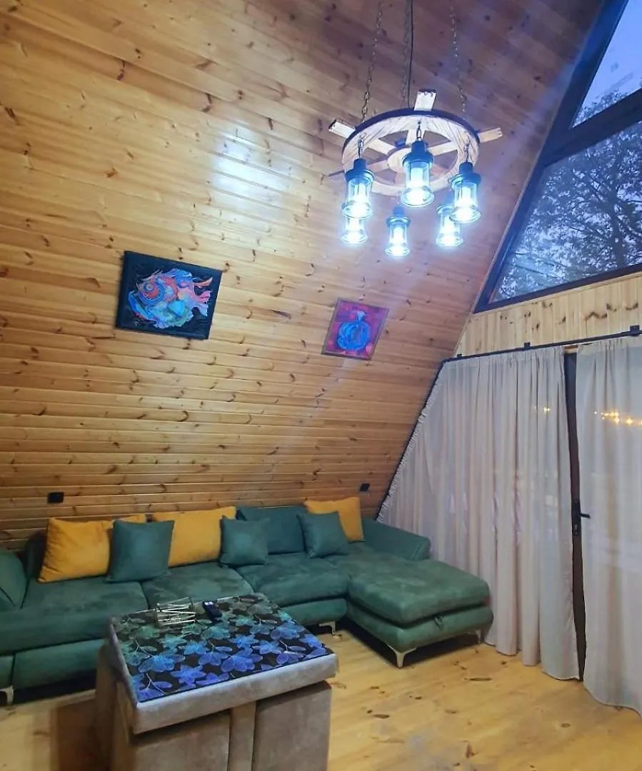 Modern Chalet Tbilisi
