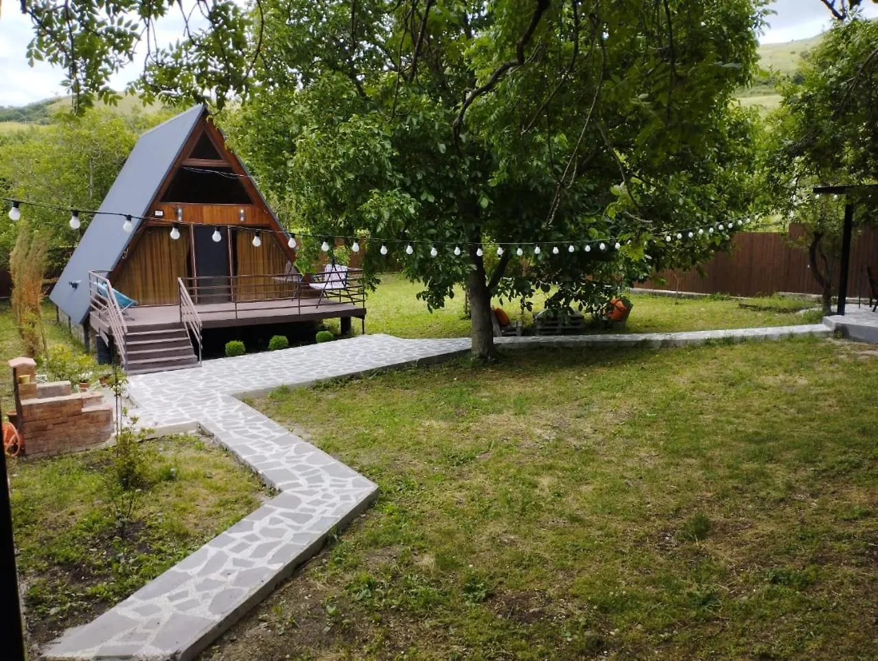 Modern Chalet Tbilisi